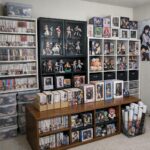 Best Storage Ideas for Manga, Figures, Posters, and Anime Merch