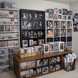 Best Storage Ideas for Manga, Figures, Posters, and Anime Merch